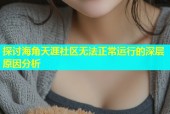 探讨海角天涯社区无法正常运行的深层原因分析