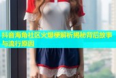抖音海角社区火爆梗解析揭秘背后故事与流行原因