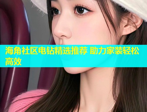 海角社区电钻精选推荐 助力家装轻松高效  第1张