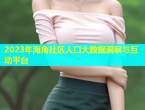 2023年海角社区人口大数据洞察与互动平台  第1张