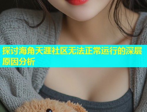 探讨海角天涯社区无法正常运行的深层原因分析  第1张